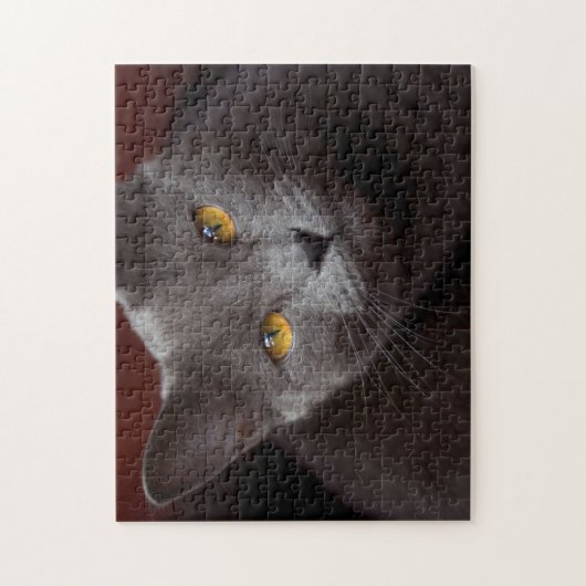 Prachtige Chartreux puzzel Legpuzzel (Verticaal)