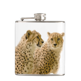 Prachtige Cheetah Beauful Cat-foto Heupfles