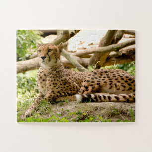 Prachtige Cheetah Beauful Cat-foto Legpuzzel