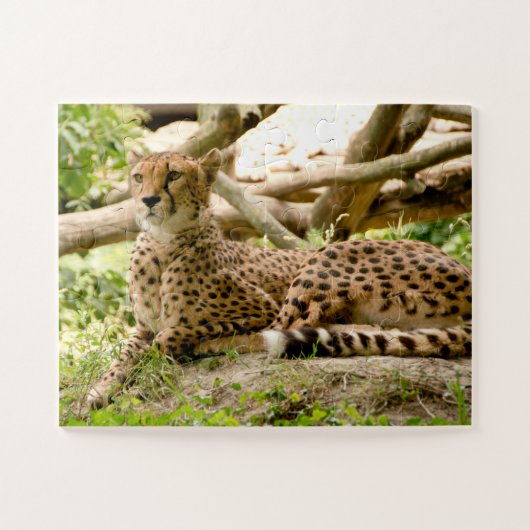 Prachtige Cheetah Beauful Cat-foto Legpuzzel (Horizontaal)