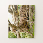 Prachtige Cheetah Beauful Cat-foto Legpuzzel (Verticaal)
