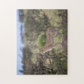 Prachtige Cheetah Beauful Cat-foto Legpuzzel (Verticaal)