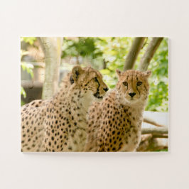 Prachtige Cheetah Beauful Cat-foto Legpuzzel