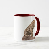 Prachtige Cheetah Beauful Cat-foto Mok (Voorkant rechts)