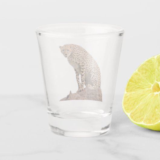 Prachtige Cheetah Beauful Cat-foto Shot Glas (Achterkant)