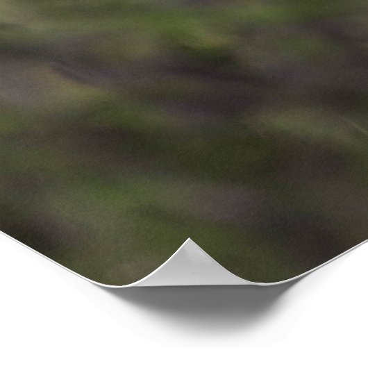 Prachtige Cheetah Beauful Cat Photo Poster (Hoek)