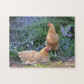 Prachtige Chicken Puzzle Legpuzzel (Horizontaal)