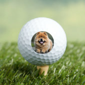 Prachtige Chow Chow Golfballen (Insitu Shirt)