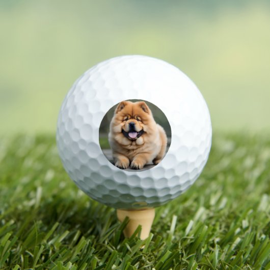 Prachtige Chow Chow Golfballen (Insitu Shirt)