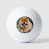 Prachtige Chow Chow Golfballen (Voorkant)