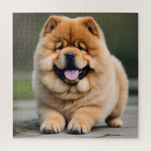 Prachtige Chow Chow Legpuzzel