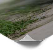 Prachtige Chow Chow Poster (Hoek)