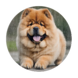 Prachtige Chow Chow Snijplank