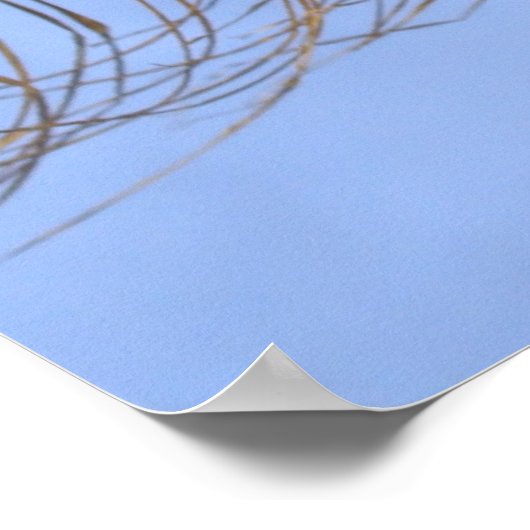 Prachtige close-up palmboom poster (Hoek)