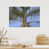 Prachtige close-up palmboom poster (Keuken)