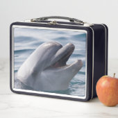 Prachtige close-up van een dolfijn (In situ)