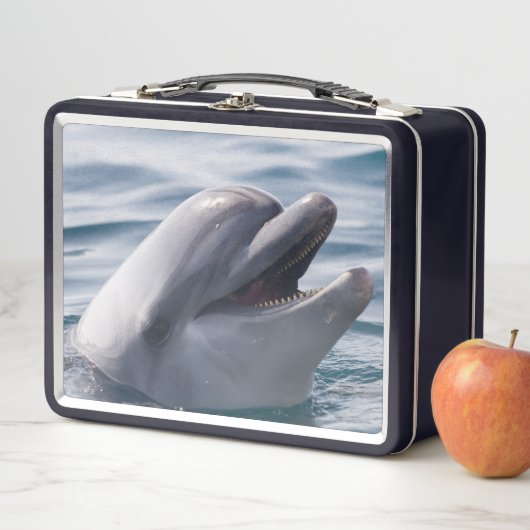 Prachtige close-up van een dolfijn (In situ)