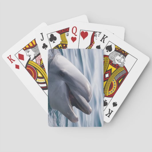Prachtige close-up van een dolfijn pokerkaarten (Achterkant)