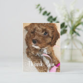 Prachtige Cockapoo Puppy Dank u kaart (Staand voorkant)