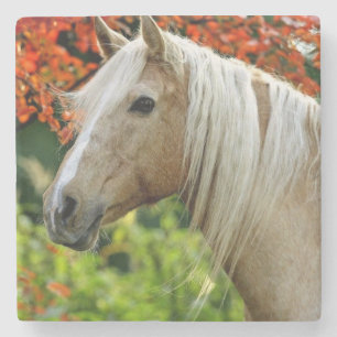 Prachtige conceptpaarden van Palomino Stenen Onderzetter