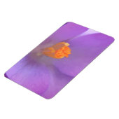 Prachtige Crocus Premium Magnet Magneet (Linkerzijde)