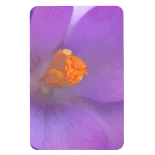 Prachtige Crocus Premium Magnet Magneet (Verticaal)