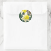 Prachtige Daffodils Ronde Sticker (Tas)