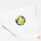 Prachtige Daffodils Ronde Sticker (Envelop)