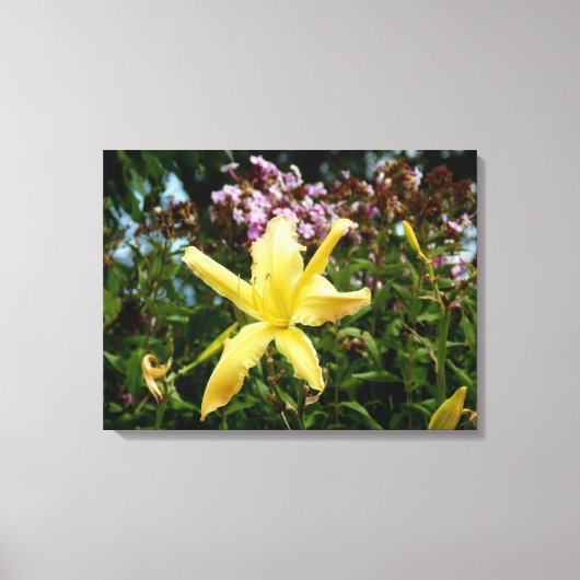 Prachtige daglelie tuin muur decor canvas afdruk (Voorkant)