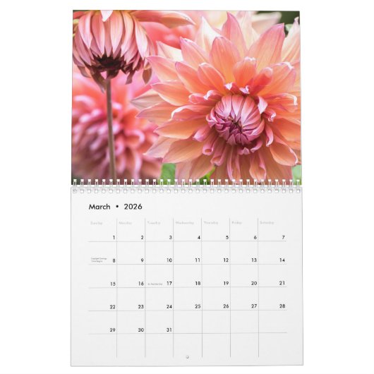 Prachtige Dahlias bloemenfotografie Kalender (Mar 2026)