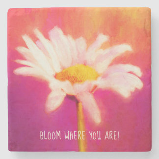 Prachtige Daisy Artwork Stenen Onderzetter