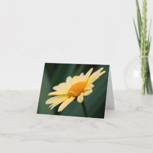 Prachtige Daisy Bloem Fotografie  Notitiekaartje