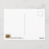 Prachtige Death Valley-ansichtkaart! Briefkaart (Achterkant)