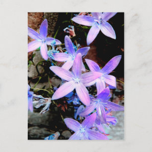 Prachtige delicate Lila Abstracte wilde bloemen Briefkaart