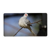 Prachtige Diamond Dove Etiket (Voorkant)