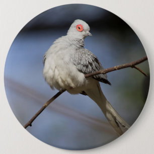 Prachtige Diamond Dove Ronde Button 6,0 Cm