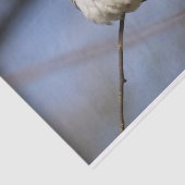 Prachtige Diamond Dove Tissuepapier (Detail)