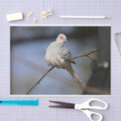 Prachtige Diamond Dove Tissuepapier (Craft)