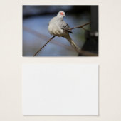 Prachtige Diamond Dove Visitekaartje (Voorkant /achterkant)