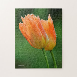 Prachtige, diepgekust pastel Oranje Tulpen Legpuzzel