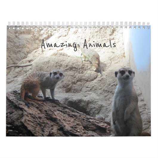 Prachtige Dieren Kalender (Hoes)