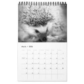prachtige dieren - kalender ( enkele bladzijde ) (Mar 2026)