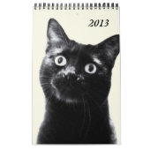 prachtige dieren - kalender ( enkele bladzijde ) (Hoes)