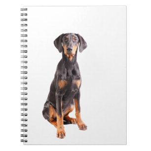 prachtige doberman pinscher notitieboek