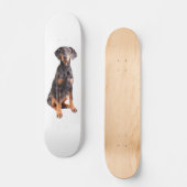 prachtige doberman pinscher skateboard (Voorkant)