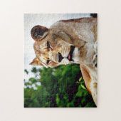 Prachtige draadloze digitale schilderijen legpuzzel (Verticaal)