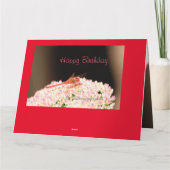 Prachtige Dragonfly Verjaardag Kaart (Achterkant)