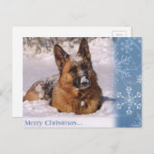 Prachtige Duitse herder in sneeuw
 Feestdagenkaart (Voorkant / Achterkant)