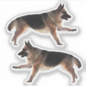 Prachtige Duitse herder Sticker (Voorkant)