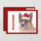 Prachtige Duitse herder vakantie Briefkaart (Voorkant / Achterkant)